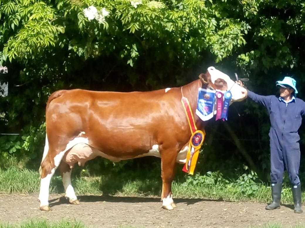 COL20671 - Hacienda Trinidad